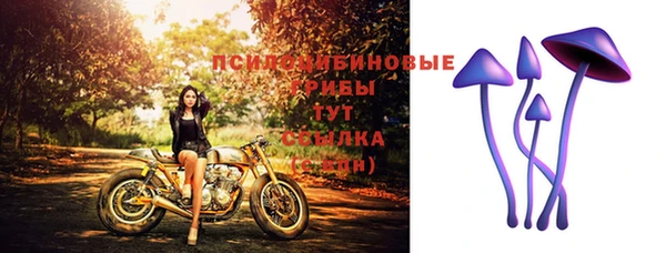 ALPHA PVP Арсеньев