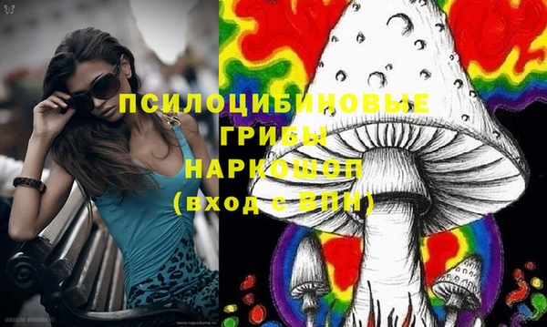 дживик Армянск