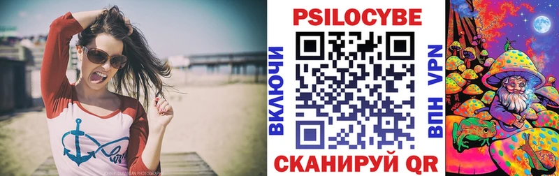 Галлюциногенные грибы Psilocybe  Сельцо 